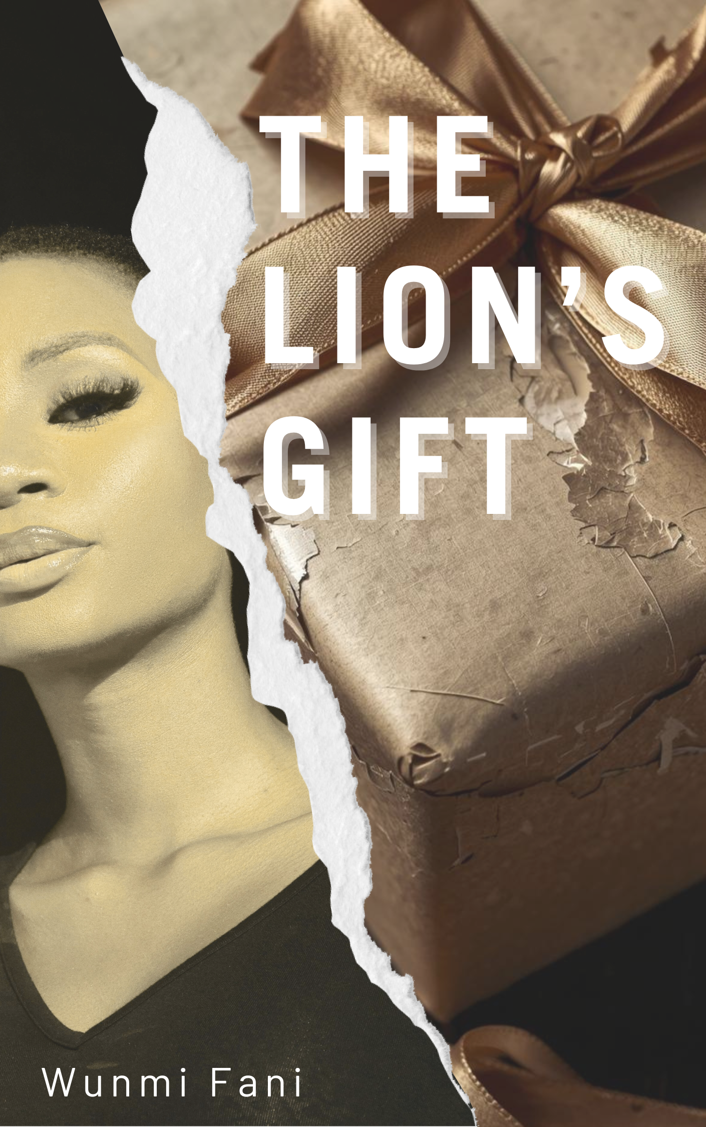 Book cover: The Lion’s Gift