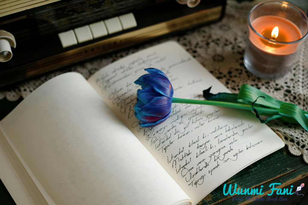 Separating Survival from Creativity as a Writer